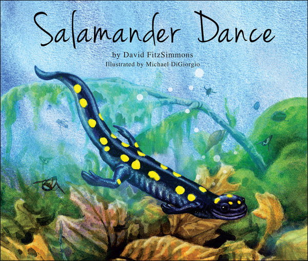 Salamander Dance by David FitzSimmons