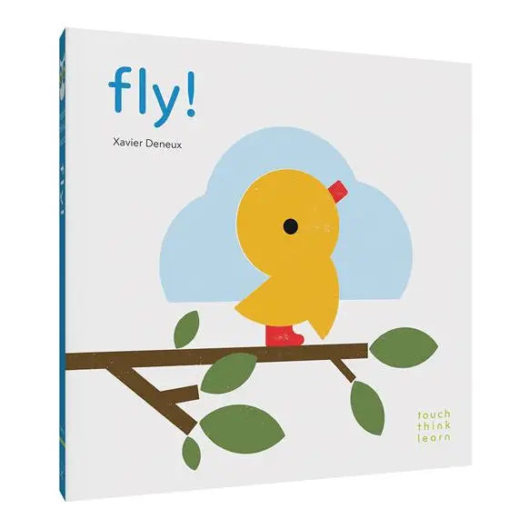 TouchThinkLearn: Fly!