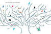 Some Questions About Trees by Toni Yuly