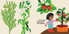 Our Food Grows by Sarah M. White
