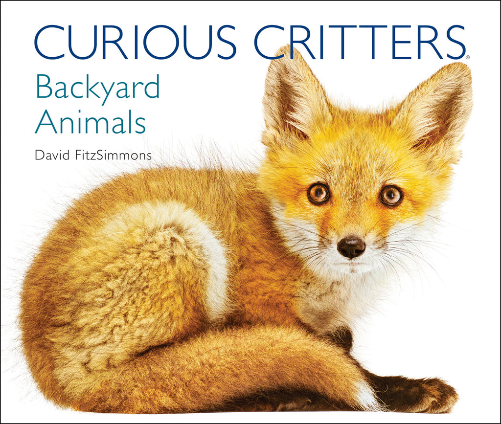 Curious Critters Backyard Animals by David FitzSimmons