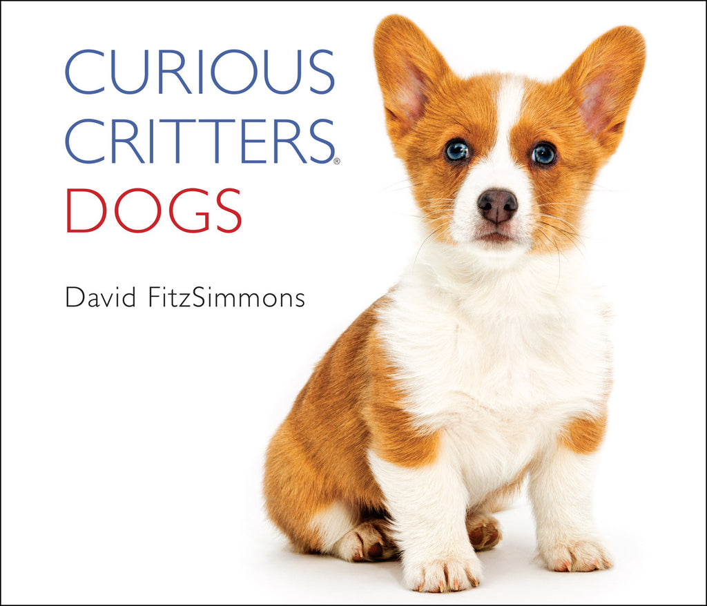 Curious Critters: Dogs by David FitzSimmons