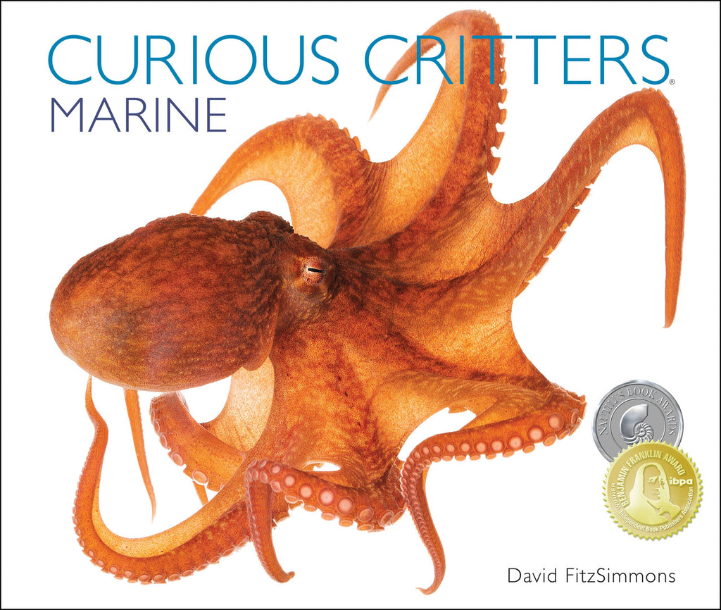 Curious Critters Marine By David FitzSimmons