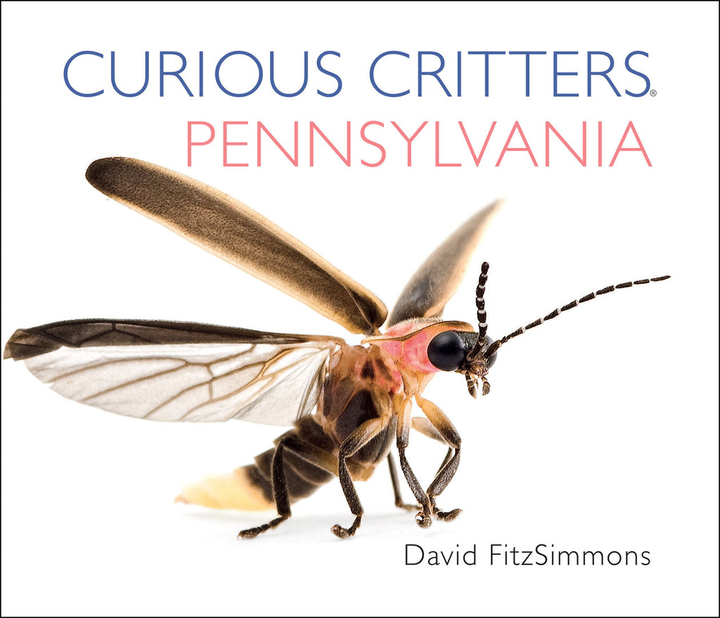 Curious Critters: Pennsylvania by David FitzSimmons
