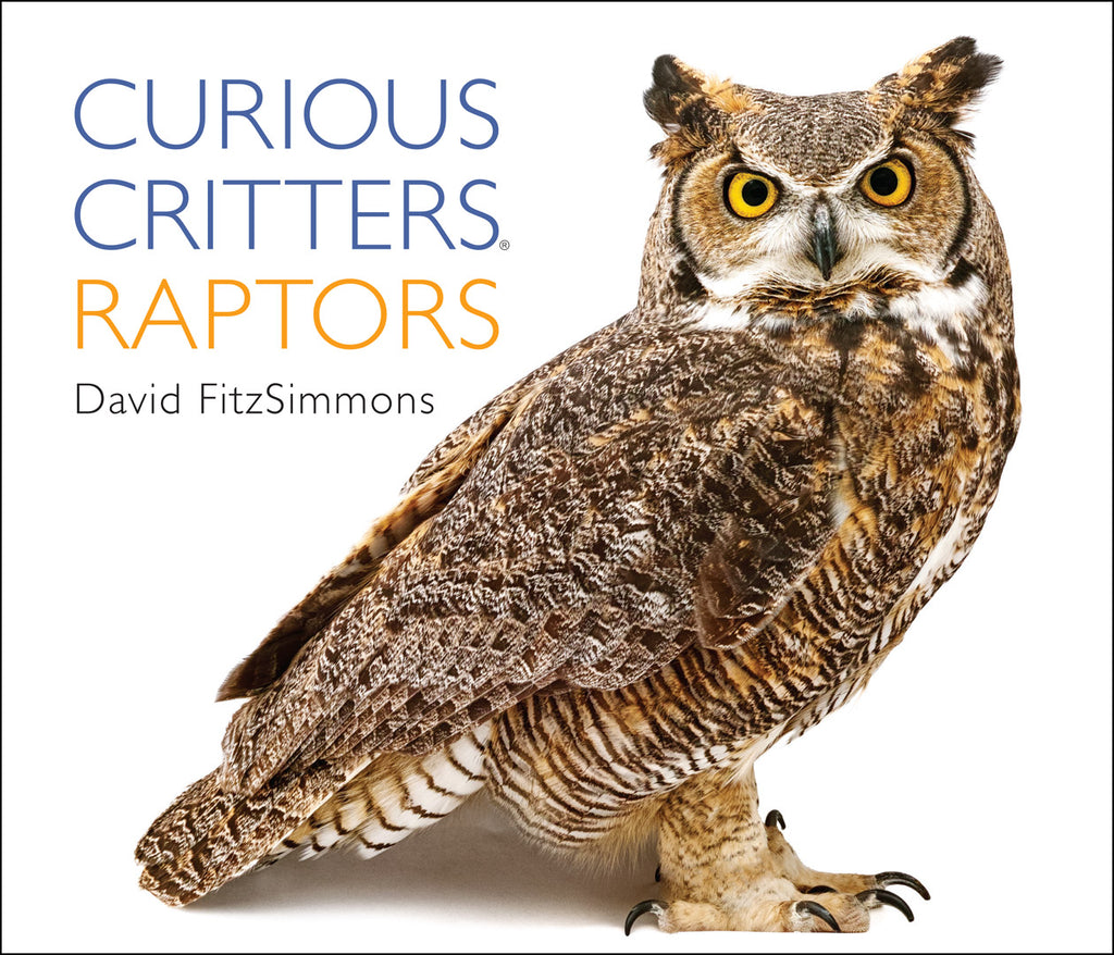 Curious Critters: Raptors by David FitzSimmons