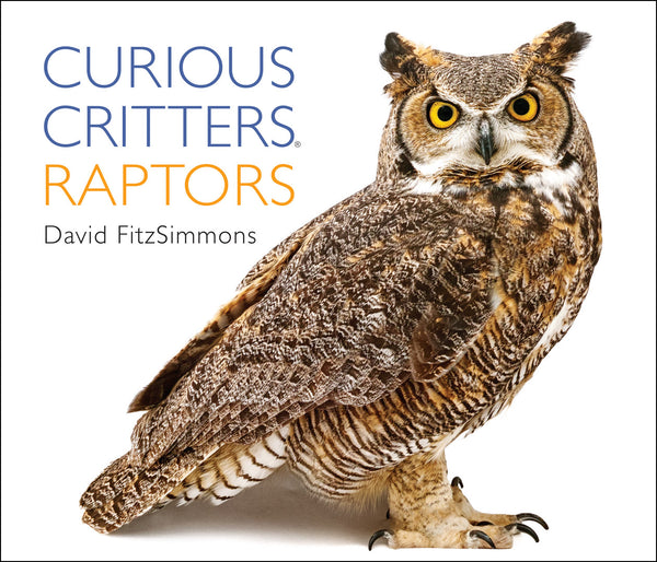 Curious Critters: Raptors by David FitzSimmons