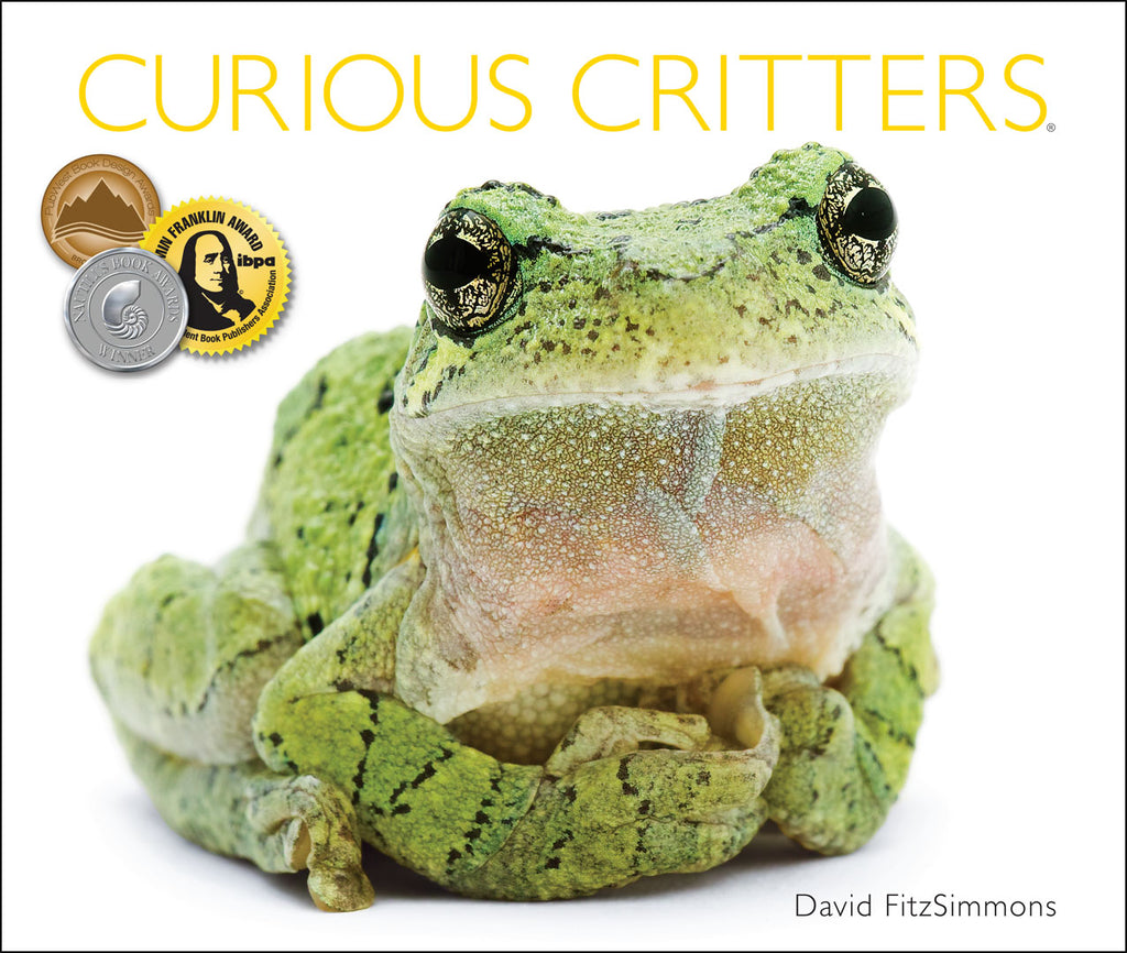 Curious Critters by David FitzSimmons