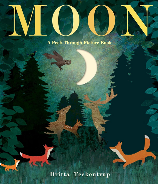 Moon: A Peek-Through Picture Book by Britta Teckentrup