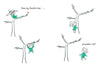 Some Questions About Trees by Toni Yuly