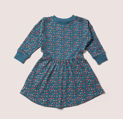 Blue Flowers Everyday Dress