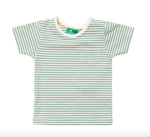 Green Striped Organic Short Sleeve T-Shirt