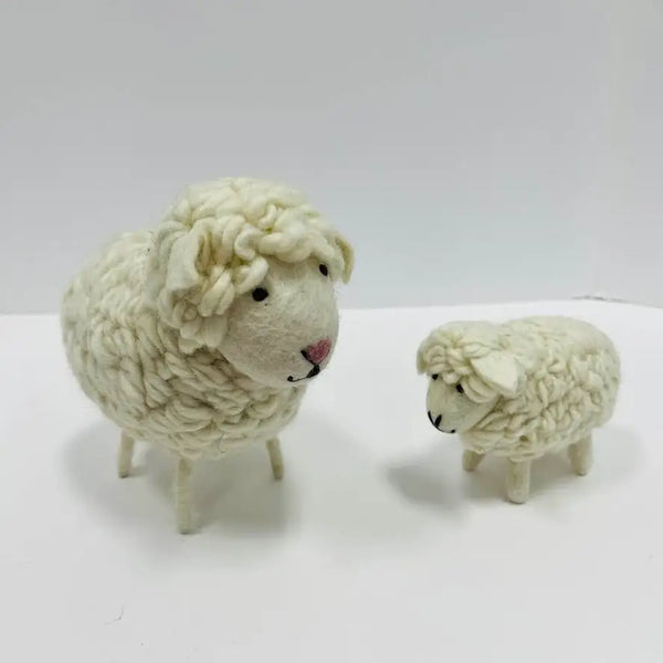White Wool Sheep